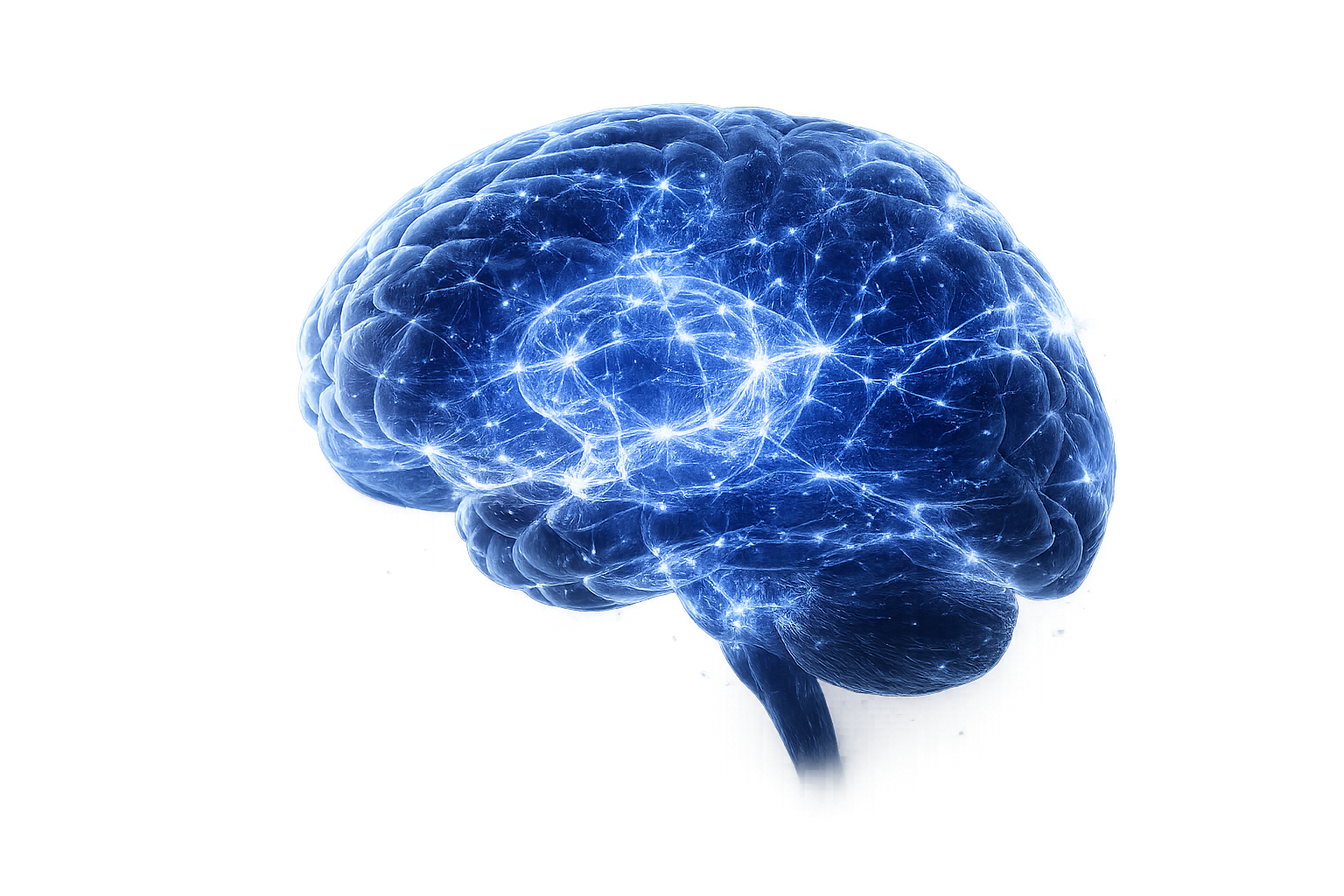 Cerebro con actividad neuronal